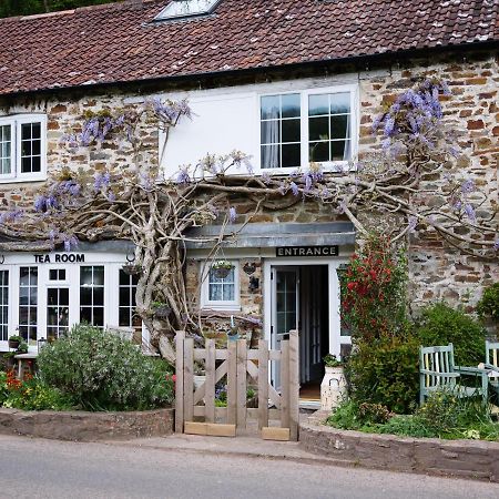 مبيت وإفطار Oakford The Bark House المظهر الخارجي الصورة