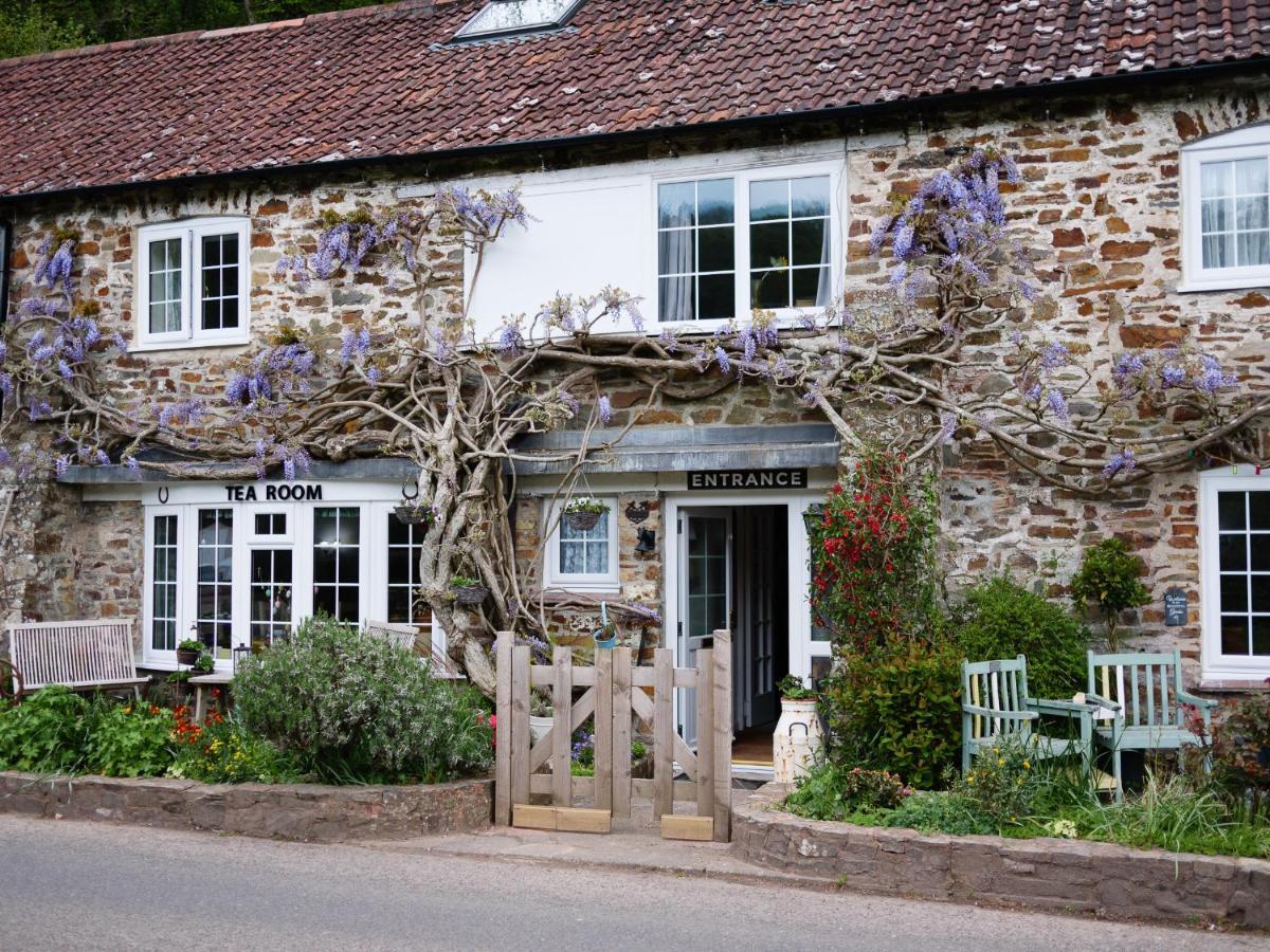 مبيت وإفطار Oakford The Bark House المظهر الخارجي الصورة